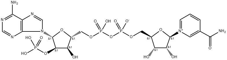 NADP molecular formula NADP molecular formula