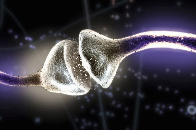 Neurotransmitter Neurotransmitter