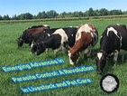 Cynnydd Ym maes Rheoli Parasitiaid: Chwyldro mewn Gofal Da Byw Ac Anifeiliaid...