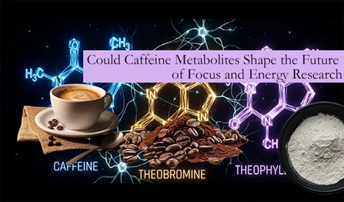 A allai Metabolitau Caffein Siapio Dyfodol Ymchwil Ffocws Ac Ynni